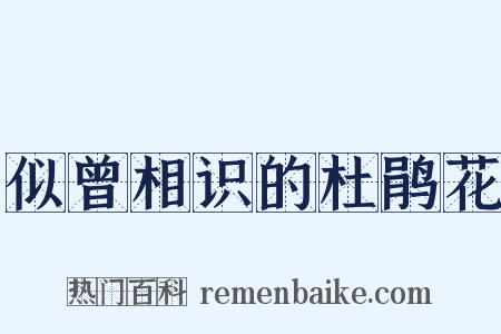 似曾相识的杜鹃花是什么意思的图片